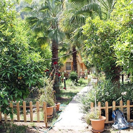 فندق Oran Pansiyon Agac Evler Çıralı المظهر الخارجي الصورة