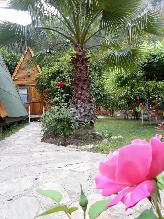 فندق Oran Pansiyon Agac Evler Çıralı المظهر الخارجي الصورة