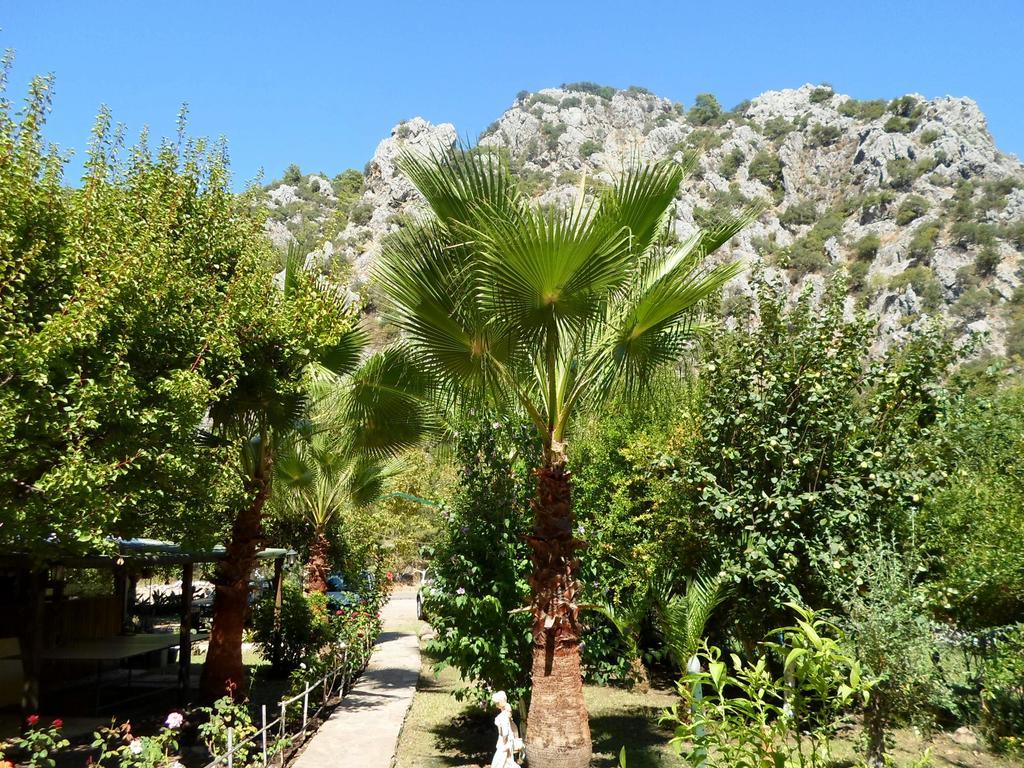 فندق Oran Pansiyon Agac Evler Çıralı المظهر الخارجي الصورة