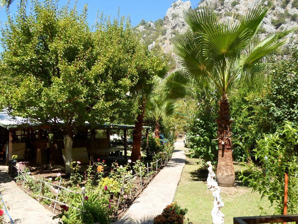 فندق Oran Pansiyon Agac Evler Çıralı المظهر الخارجي الصورة