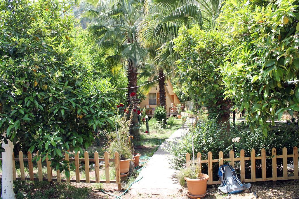 فندق Oran Pansiyon Agac Evler Çıralı المظهر الخارجي الصورة